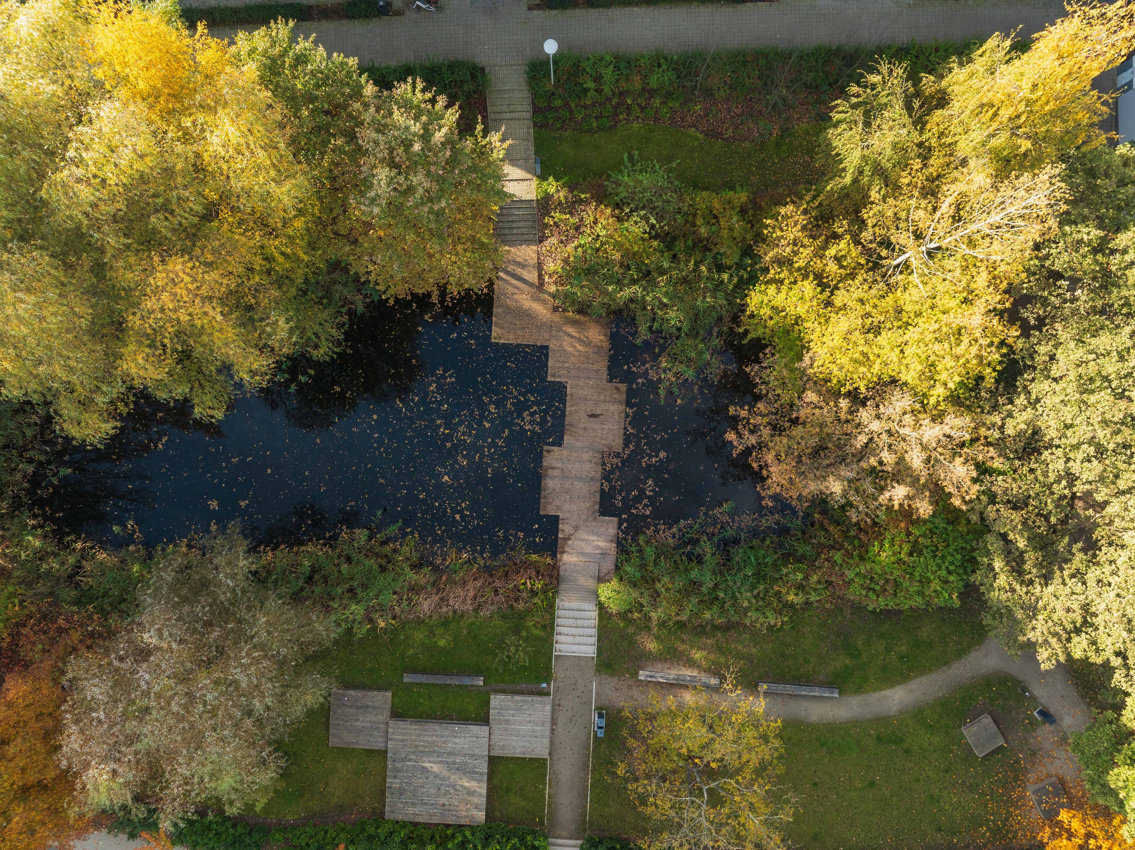 DJI_0412.jpg